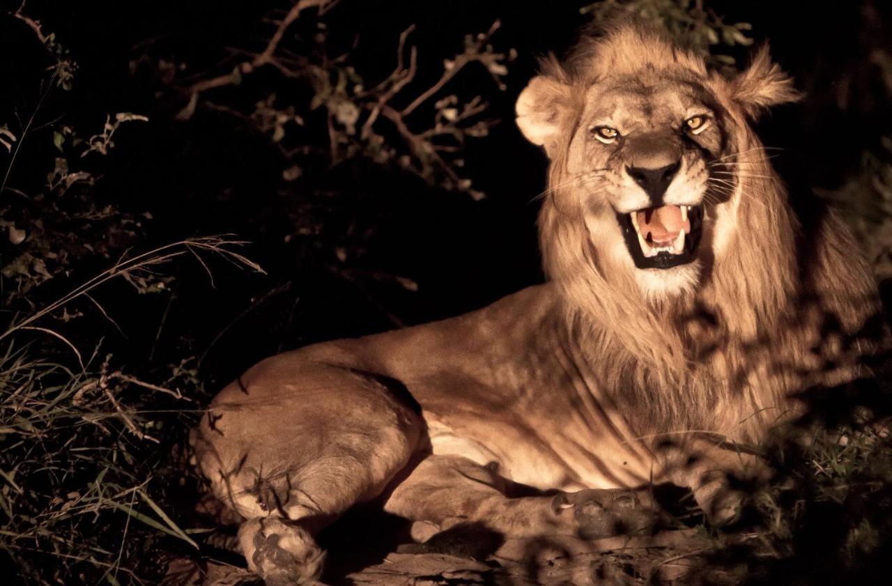 Vuyani Safari Lodge Hoedspruit Exteriör bild