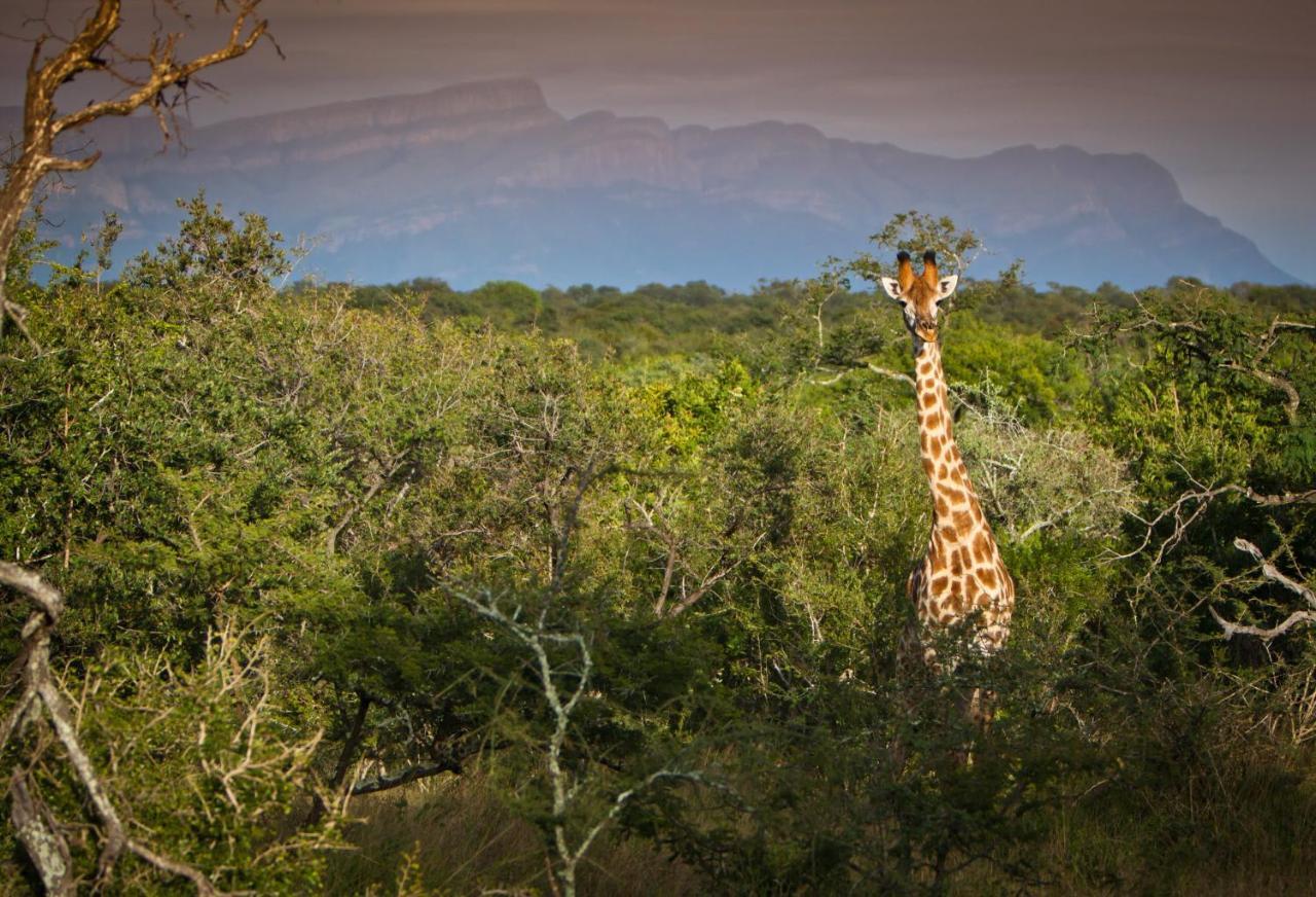 Vuyani Safari Lodge Hoedspruit Exteriör bild